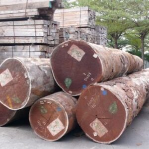 Afromosia Wood Logs