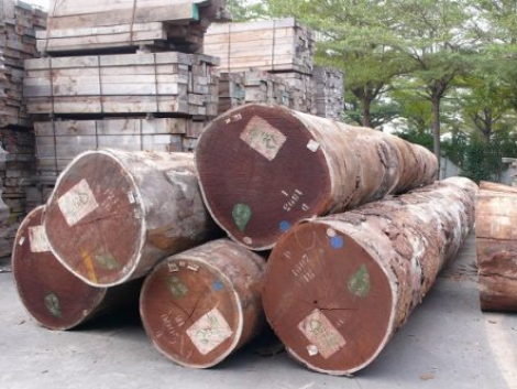 Afromosia Wood Logs