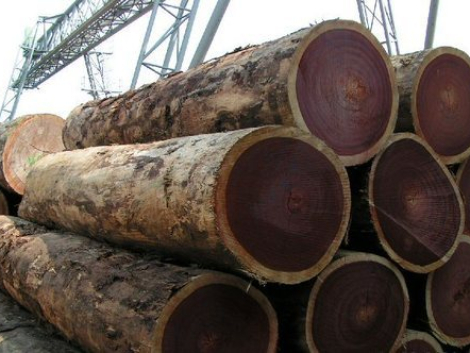 Azobe Wood Logs