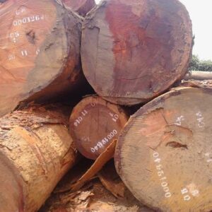 Beli Wood Logs