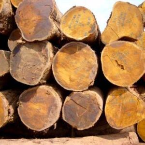 Bilinga Wood Logs