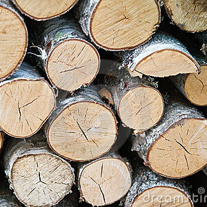 Birch Wood Logs