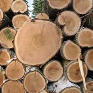 Cedar Wood Logs