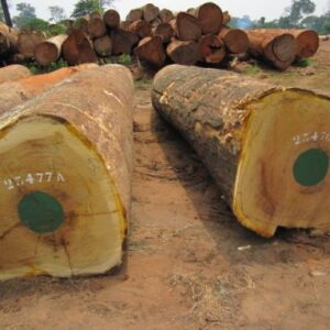 Iroko Wood Logs
