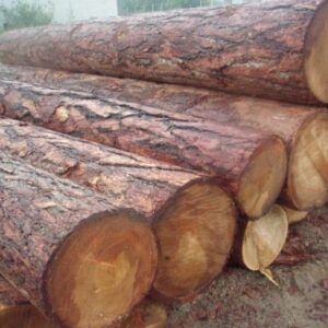Larch Wood Logs