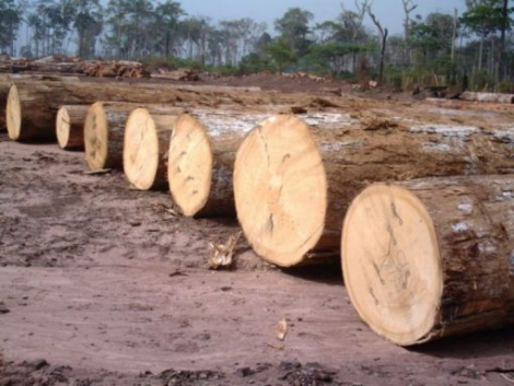 Makore Wood Logs