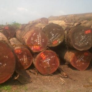 Tali Wood Logs