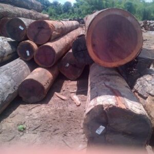 Zebrano Wood Logs